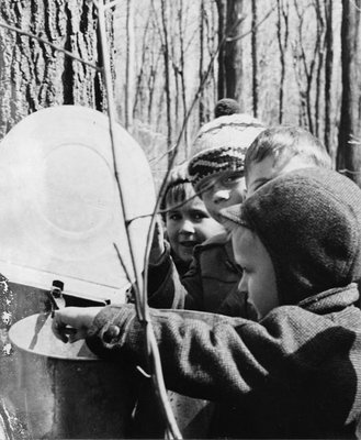 Kindergarten Students visit McEnery Sugar Bush