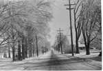 Maple Avenue After 1946 Ice Storm