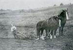 Charles Best Ploughing