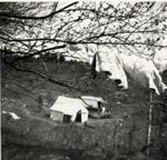 Gypsy Encampment