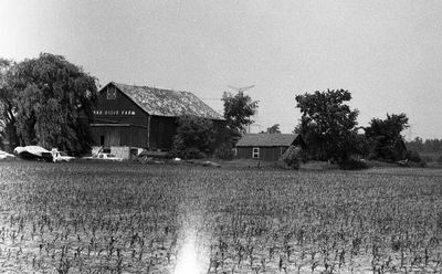 Cedar Drive Farm