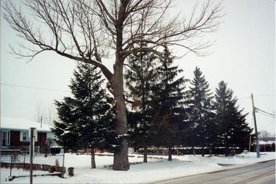 site of SS# 17, Milton Heights School