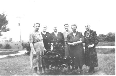 Ashgrove Women Gathered around a Spruce Tree