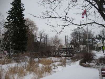 Library Bridge