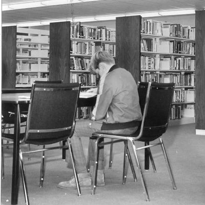 Joseph Gibbons School - pupil in library.