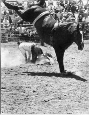 Lions Club Rodeo - bucking horse performs.