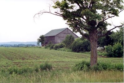 A barn south of 9468 4th Line on the west side of the road.