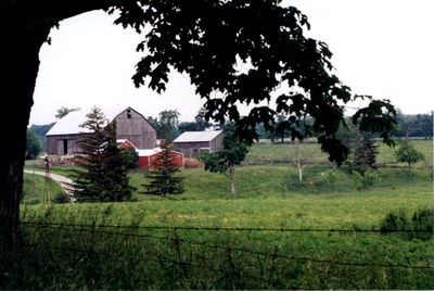 A barn and outbuildings on 5 sideroad.