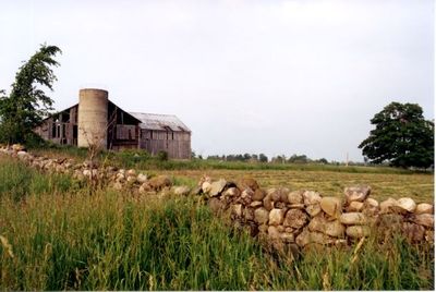 A dry stone wall and the barn on 9th Line north and 17 Sideroad.