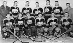 Hamilton Construction Hornets Hockey Club