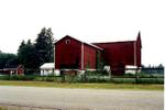 11820 10 Sideroad 'Pine Haven Farms' - barn.