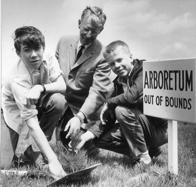 Upper Canada College Field Camp, Planting of Trees