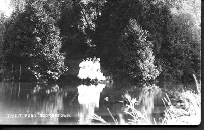 Five ladies and a girl with a man at the  shore of  Lawson's Trout Pond.