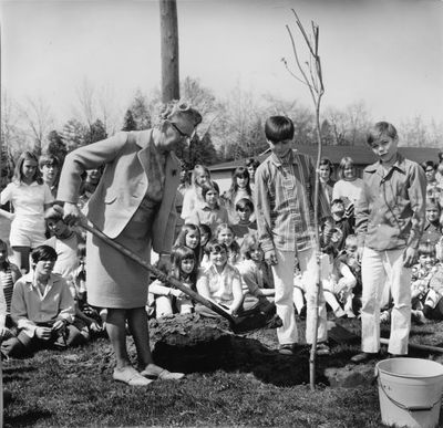 Mrs. Ruth Forgrave plants a maple sapling on Arbor Day at Park Public School