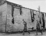 Ruins of a mushroom factory after a fire