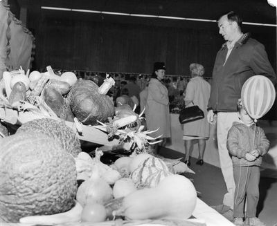 Vegetables on show at Georgetown Fall Fair