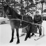 Horse and sleigh ride at Georgetown Golf and Country Club