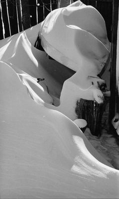 Mother Nature's 'Winter Wind Whipped' Snow Sculpture