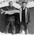 The Hancocks catch a 13 lbs., 36 inch beauty, a deep bodied Grey Trout while Ice fishing