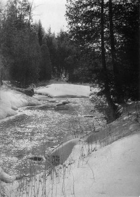 &quot;Hungry Hollow&quot; - Credit River Valley