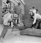 Log-sawing included in Georgetown High School's Winter Carnival events