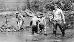 Credit River Clean-up