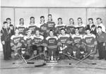 Georgetown Industrial League Hockey