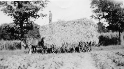 Man on top of haywagon