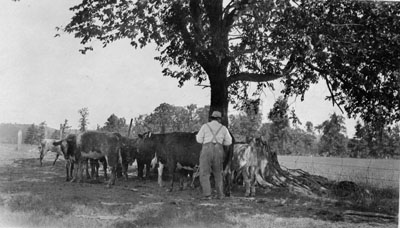 McCullough Farm