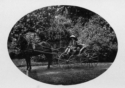 Child Posed on Horse and Buggy