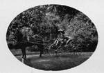 Child Posed on Horse and Buggy