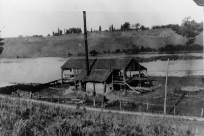 Walter Lawson's Saw Mill