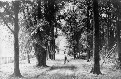 The fair grounds park 1910