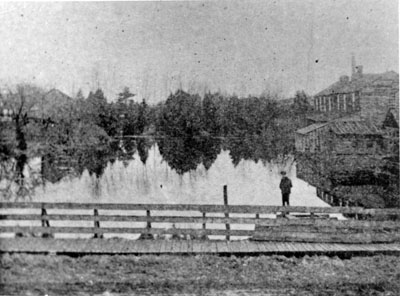Lawson's Pond