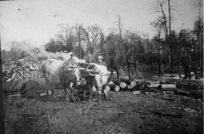 George Chisholm at Brocklebanks Saw Mill