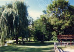 Cedarvale Park 1989