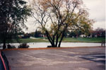 North-west arm of Fairy Lake 1990