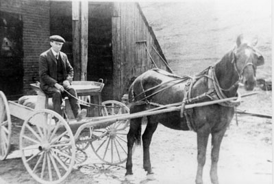 Man in horse and buggy