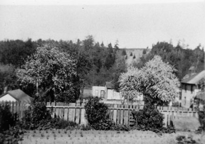 Garden View of 3 Tweedle Street c1920's