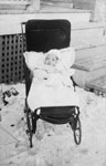 Baby in a Carriage 1954