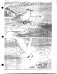 Amherst Island Tweedsmuir History, Volume 3 F3 1994-2003