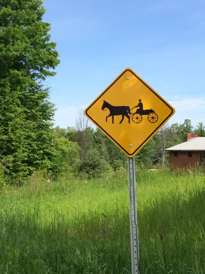 Balsam Hill-Horton W.I. Horse and Buggy &quot;Share the Road&quot; Signage