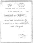 Report and Fieldnotes of the Survey of the Township of Caldwell, 1880