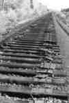 Enlèvement de la voie ferrée, Field, ON / Removal of the railroad tracks, Field, ON