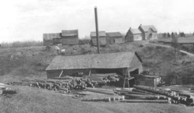 Bardeaux de cèdre, Gibbons, ON / Cedar Shingles, Gibbons, ON