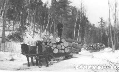 Halage de billots à River Valley, ON / Hauling logs in River Valley, ON