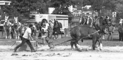 80e anniversaire du canton de Field, ON, 1996 / Field Township’s 80th anniversary, Field, ON, 1996