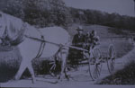 Horse and buggy