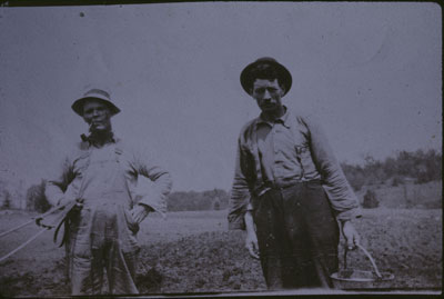 Planting Potatoes