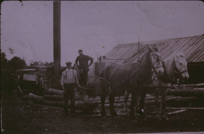 Ed Badger's Saw Mill